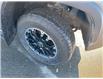2023 Toyota Tundra SR (Stk: T112463A) in Cranbrook - Image 19 of 19