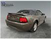 2002 Ford Mustang Base (Stk: S9848C) in ROSETOWN - Image 3 of 17