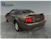 2002 Ford Mustang Base (Stk: S9848C) in ROSETOWN - Image 5 of 17