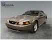 2002 Ford Mustang Base (Stk: S9848C) in ROSETOWN - Image 7 of 17