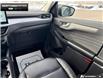 2025 Ford Escape Platinum (Stk: DR1066) in Brantford - Image 23 of 23 2025 Ford Escape Platinum (Stk: DR1066) in Brantford - Image 23 of 23
