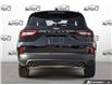 2026 Ford Escape ST-Line (Stk: 26ES296) in St. Catharines - Image 5 of 26