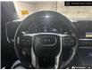 2024 GMC Sierra 1500 Elevation (Stk: AM6256) in Thunder Bay - Image 13 of 24