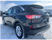 2022 Ford Escape SE (Stk: U49966) in Hague - Image 6 of 13