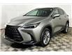 2025 Lexus NX 350h Base (Stk: X3669L) in London - Image 1 of 35