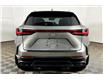 2025 Lexus NX 350h Base (Stk: X3669L) in London - Image 4 of 35 2025 Lexus NX 350h Base (Stk: X3669L) in London - Image 4 of 35