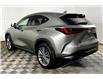 2025 Lexus NX 350h Base (Stk: X3669L) in London - Image 12 of 35 2025 Lexus NX 350h Base (Stk: X3669L) in London - Image 12 of 35