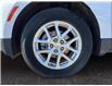 2024 Chevrolet Equinox LT (Stk: 41195) in Lethbridge - Image 14 of 15