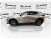 2024 Lexus NX 250  (Stk: 14112052A) in Markham - Image 6 of 25