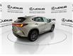 2024 Lexus NX 250  (Stk: 14112052A) in Markham - Image 9 of 25