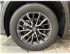 2024 Lexus NX 350h  (Stk: 14U7195B) in Markham - Image 11 of 25