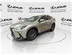 2024 Lexus NX 350h  (Stk: 14U7267) in Markham - Image 5 of 28