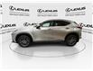 2024 Lexus NX 350h  (Stk: 14U7267) in Markham - Image 6 of 28