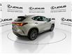 2024 Lexus NX 350h  (Stk: 14U7267) in Markham - Image 9 of 28