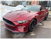 2018 Ford Mustang EcoBoost (Stk: A-160695) in Moncton - Image 3 of 20