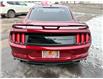 2018 Ford Mustang EcoBoost (Stk: A-160695) in Moncton - Image 5 of 20