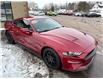 2018 Ford Mustang EcoBoost (Stk: A-160695) in Moncton - Image 8 of 20