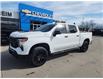 2024 Chevrolet Silverado 1500 Custom Trail Boss (Stk: 6C010A) in Blenheim - Image 2 of 18