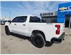 2024 Chevrolet Silverado 1500 Custom Trail Boss (Stk: 6C010A) in Blenheim - Image 6 of 18