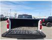2024 Chevrolet Silverado 1500 Custom Trail Boss (Stk: 6C010A) in Blenheim - Image 8 of 18