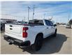 2024 Chevrolet Silverado 1500 Custom Trail Boss (Stk: 6C010A) in Blenheim - Image 9 of 18