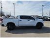 2024 Chevrolet Silverado 1500 Custom Trail Boss (Stk: 6C010A) in Blenheim - Image 10 of 18