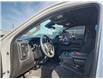 2024 Chevrolet Silverado 1500 Custom Trail Boss (Stk: 6C010A) in Blenheim - Image 13 of 18