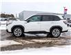 2025 Subaru Forester Hybrid e-BOXER Premier (Stk: SU3820) in Stratford - Image 5 of 30