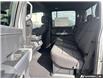 2026 Ford F-150 XLT (Stk: 260164) in Hamilton - Image 19 of 21