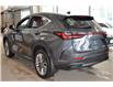 2026 Lexus NX 350h Base (Stk: 7000) in Kingston - Image 3 of 12