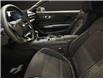 2024 Ford Mustang EcoBoost (Stk: LC00274Z) in Tilbury - Image 5 of 5