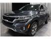 2023 Kia Seltos SX Turbo w/Black Interior (Stk: 26843A) in Edmonton - Image 6 of 26