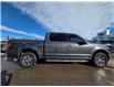 2020 Ford F-150 XLT (Stk: 7080A) in Calgary - Image 3 of 9