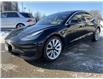 2019 Tesla Model 3  (Stk: 4830) in KITCHENER - Image 3 of 28
