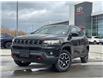 2024 Jeep Compass Trailhawk (Stk: T116769K) in Cranbrook - Image 1 of 21