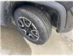 2024 Jeep Compass Trailhawk (Stk: T116769K) in Cranbrook - Image 21 of 21