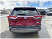 2023 Toyota RAV4 Hybrid Limited (Stk: W170672M) in Cranbrook - Image 4 of 21