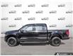2026 Ford F-150 XLT (Stk: OFL6F057) in Oakville - Image 3 of 25