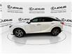 2024 Lexus RX 350h  (Stk: 14111955A) in Markham - Image 6 of 28