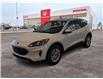 2020 Ford Escape SE (Stk: C1696) in Lethbridge - Image 8 of 22