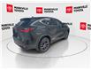 2025 Lexus NX 350 Base (Stk: 11U4387) in Markham - Image 11 of 33