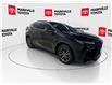 2025 Lexus NX 350 Base (Stk: 11U4387) in Markham - Image 13 of 33