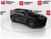 2025 Lexus NX 250 Base (Stk: 11U4388) in Markham - Image 13 of 30