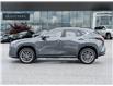 2024 Lexus NX 350h  (Stk: 15105527A) in Richmond Hill - Image 4 of 29