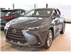 2026 Lexus NX 350h Base (Stk: 7001) in Kingston - Image 1 of 10