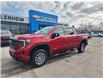 2023 GMC Sierra 1500 AT4 (Stk: 6C011A) in Blenheim - Image 2 of 20