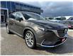 2019 Mazda CX-9 GT (Stk: M6075) in Sarnia - Image 3 of 36