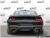 2025 Ford Mustang GT (Stk: MH016) in Sault Ste. Marie - Image 5 of 23