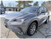 2021 Lexus NX 300 Base (Stk: 16146) in Newmarket - Image 1 of 33