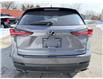 2021 Lexus NX 300 Base (Stk: 16146) in Newmarket - Image 4 of 33
